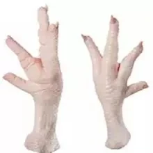 IMPORT/EXPORT Frozen Chicken Feet / Frozen Chicken Paw AT Wholesale Best Quality .