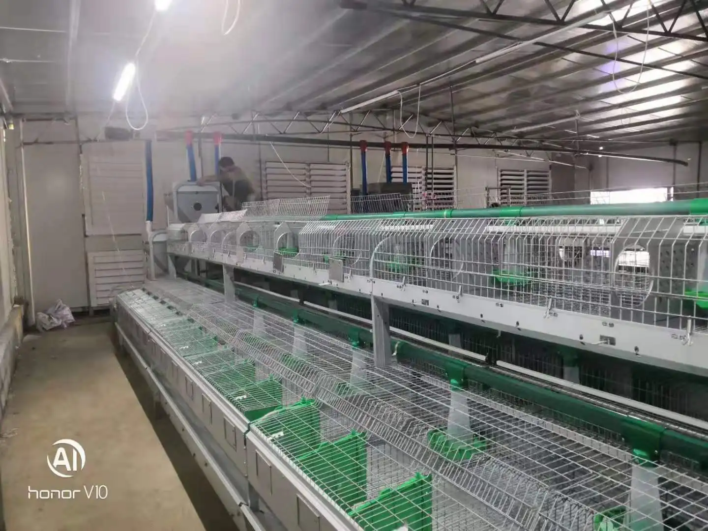 Factory Direct High Quality Rabbit Farming 24 Cells Mother Commercial