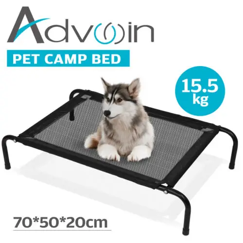 Competitive Price Good Quality Elevated Outdoor Dog Bed For Large Dogs