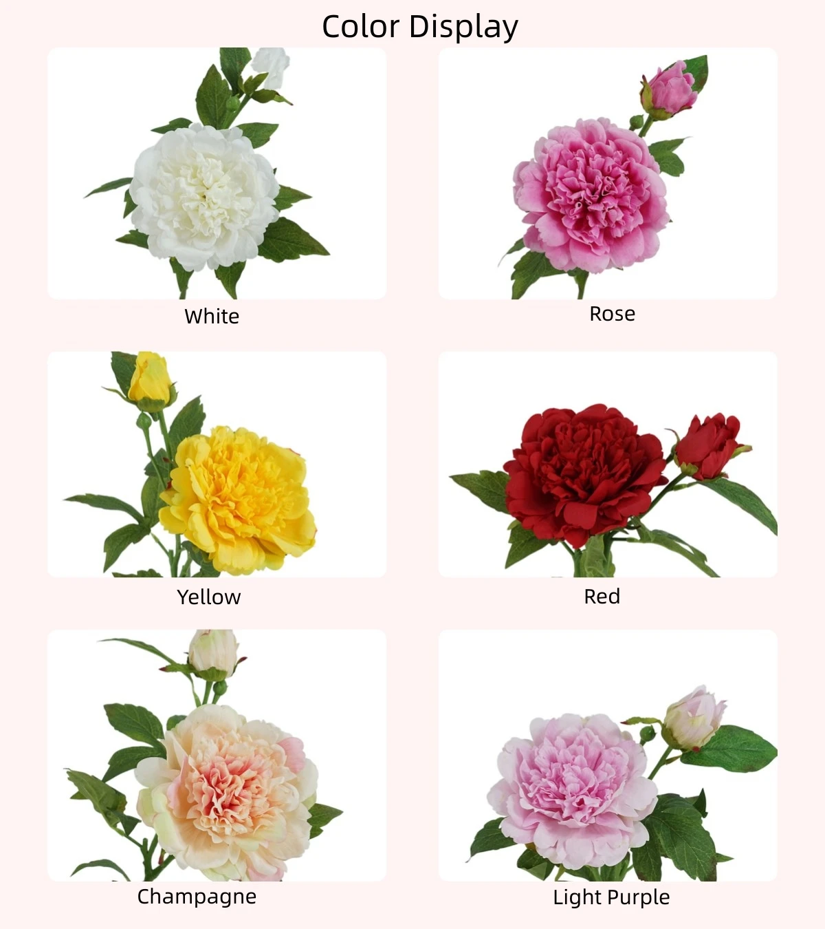 High End Wholesale Artificial Real Touch Peony 2 Heads With Bud Elegant ...