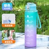 Colorful Medium Cup - Gradient Green [900ml]