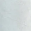 YL98813