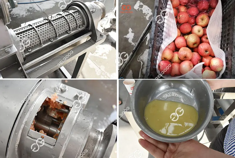 Industrial Fruit Juice Crusher And Extractorpapaya Juice Extractor