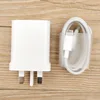 UK Plug