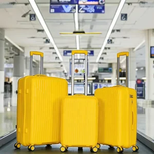 TSA Combination Locks Durable Hard PP Carry-On Trolley Case Luggage Set Spinner Caster Polyester Lined for Outdoor Trips