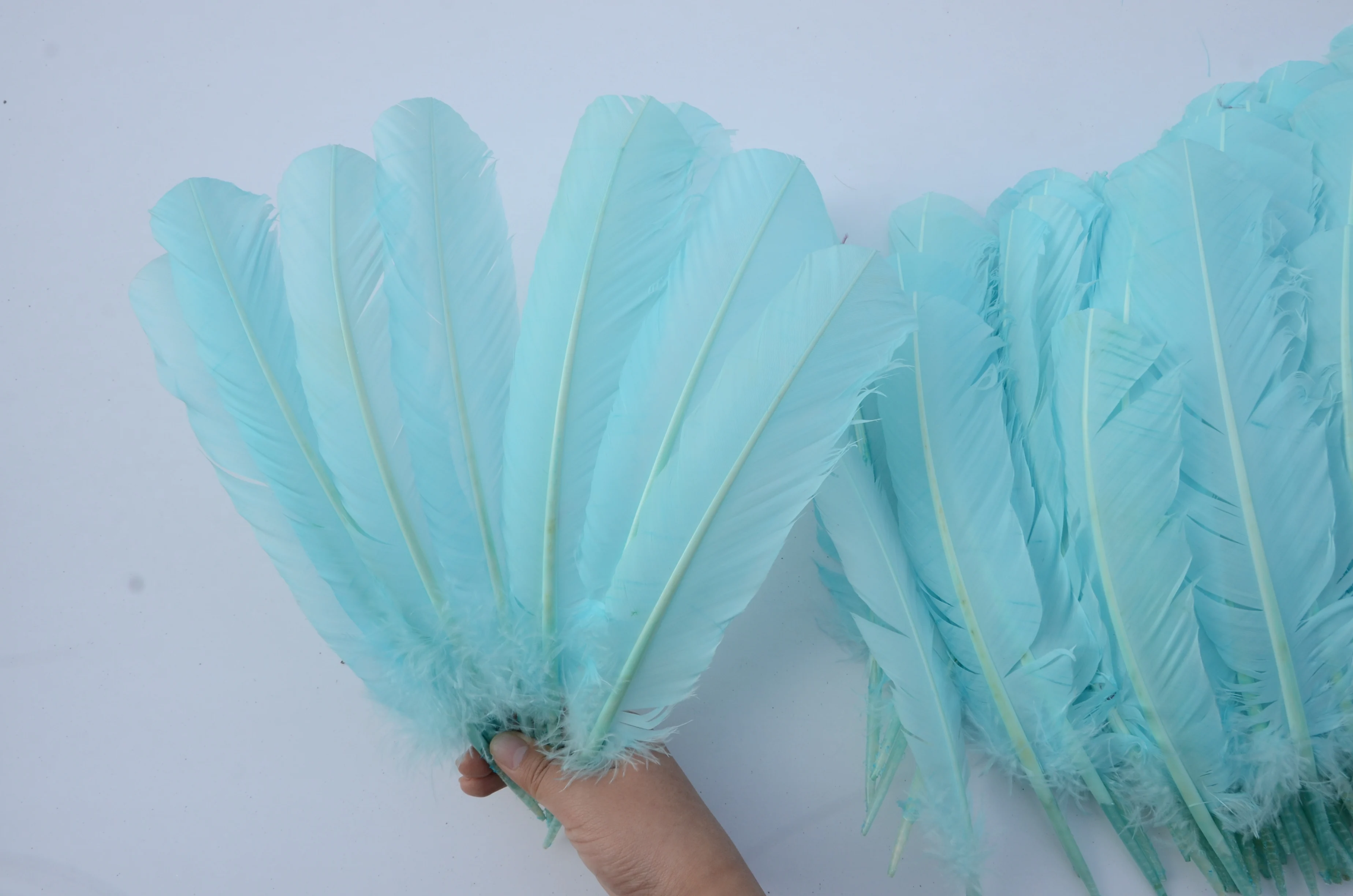 Hp16 Wholesale Cheap Large White Feathers For Sale Turkey Quill