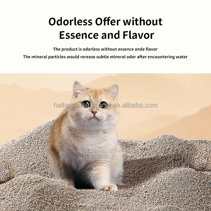 Snapshot of Cat Water Absorption Issues