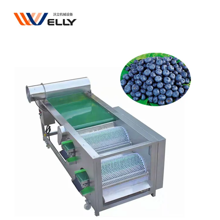 More Convient Automatic Blueberry by Size Sorter Grader Machine With Cushioning Material