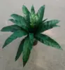 Green 7