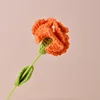 Orange Carnation