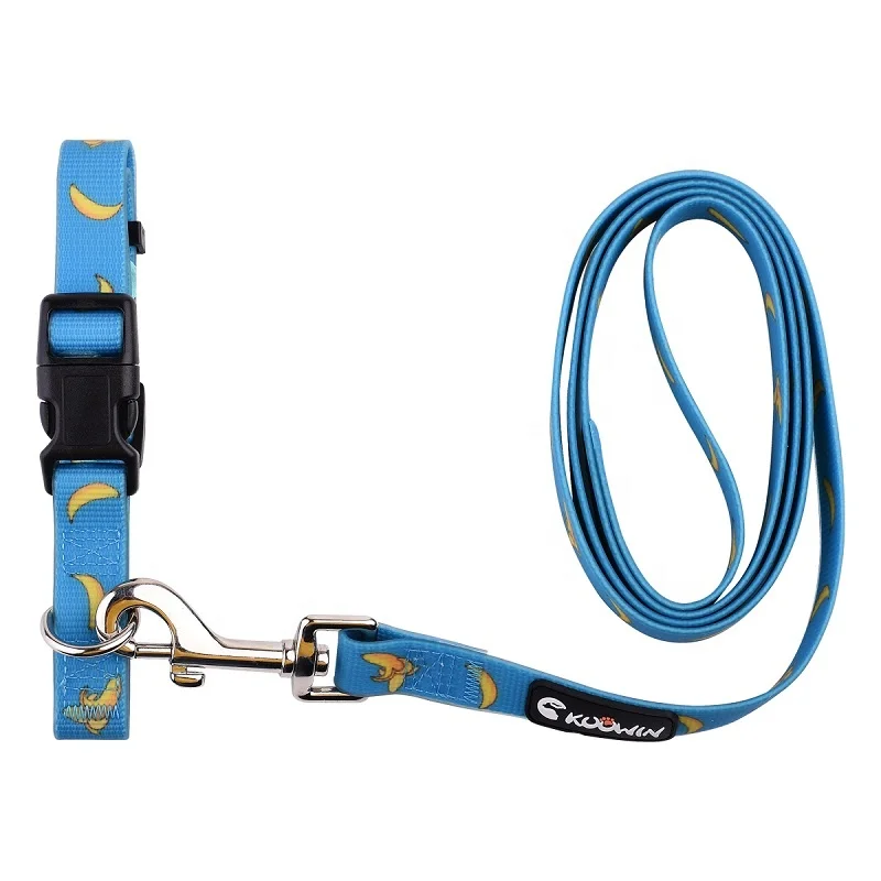 quick release hunting dog leash