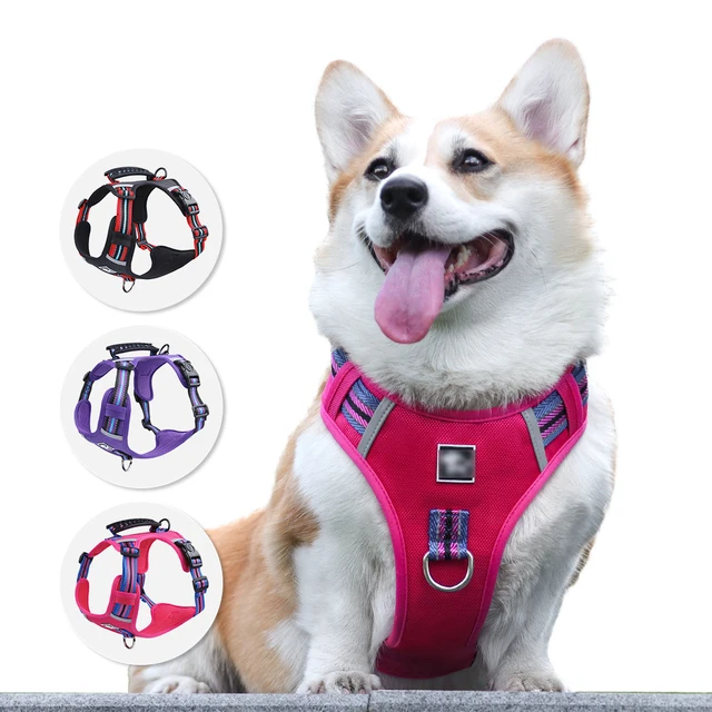 New design duplex chest back medium and large dog can lift the chest harness with handle dog tactical training harness