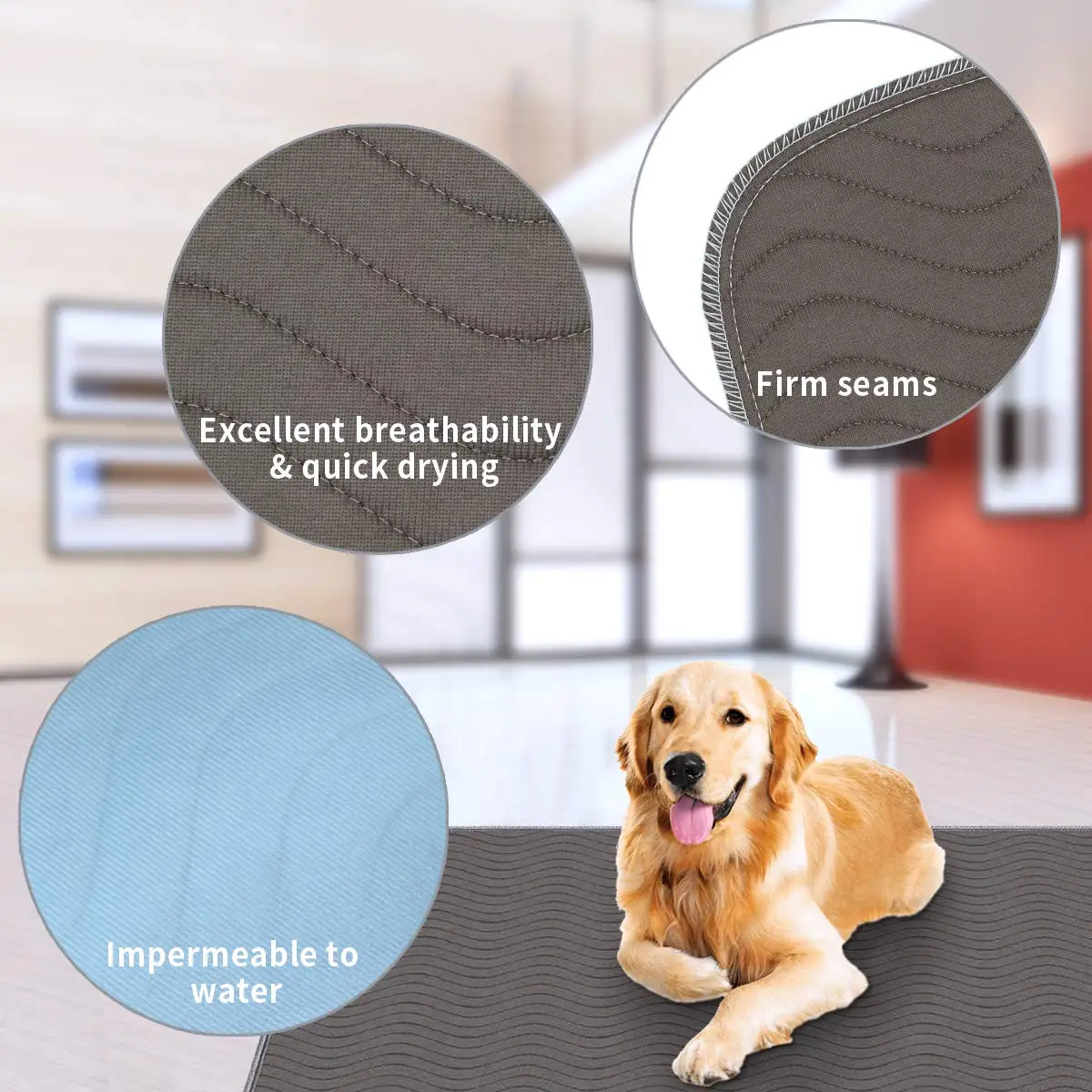 Puppy Training Pets Pad