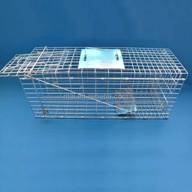 Wildlife Hunting Trap Cages for Rabbit Cat Suqirrel fox Rat Dog