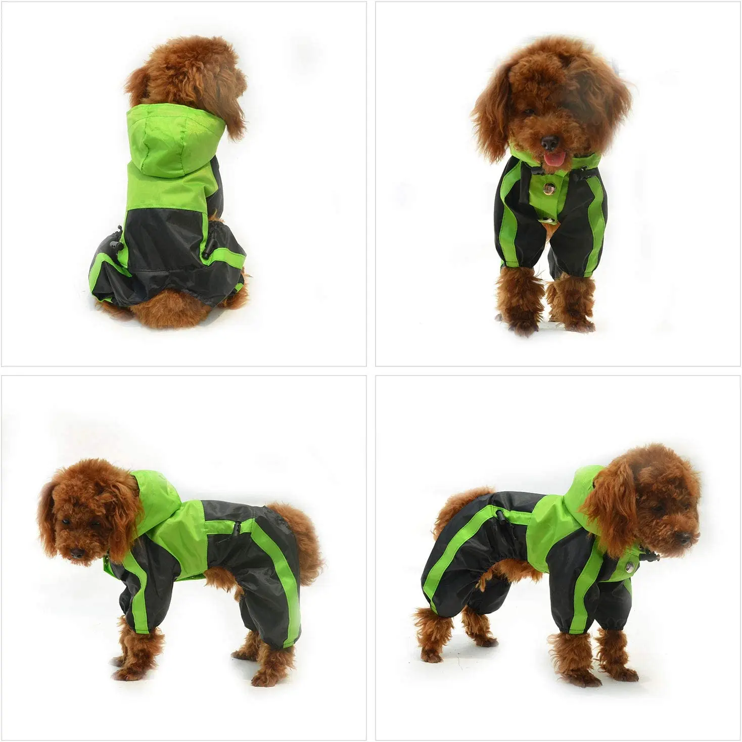 图片[4]-raincoat manufacturers dog rain coat - jinjiaraincoats-jinjiaraincoats