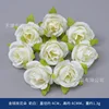 Fleur de rose pièce de monnaie, blanc crème