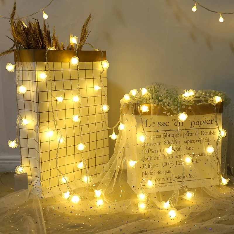 Rose Flower String Lights Room Candlelight Dinner Valentine's Day ...