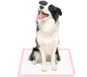 Wholesale 6-Layer Super Absorbent Puppy Training Pad with SAP Material Leak Proof Dog Pet Toilet Convenient Cats For Potty mats