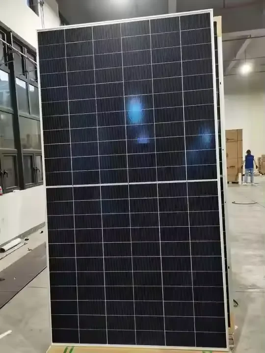 Risen RSM132-8-700-725BHDG 700W HJT両面双面ガラスソーラーパネル