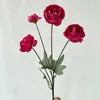 Red Mei chen 4 lu lian rose