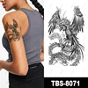 TBS-8071