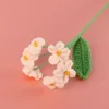 rosa 2