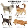 Coloridos 4 modelos de gatos de tamaño mediano de TB (un juego)