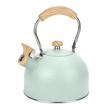 2.5L Mint Green Color Painting Stove Top Stainless Steel Whistling Tea Kettle Tea Pot With Stainless Steel Handle