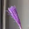 สีม่วง