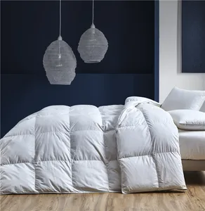 Top Selling so Warm Cotton Duck Down Quilt Machine Washable Sale Made in China Duck Down Quilt Edredones Hechos En China