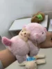 Capybara ours arrière