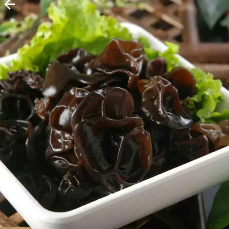 edible fungus