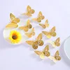 A# Gold [12 pcs per pack]