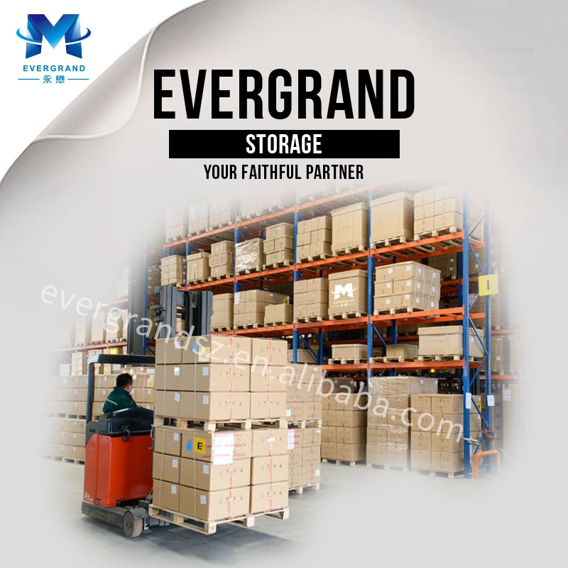 Shanghai Fast FCL Sea Shipping Logistics Service 20FT Freight Forwarder From China to UAE/Dubai/Sharjah