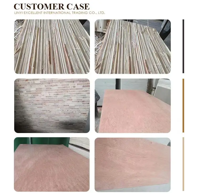 Plywood Manufacturers Direct Selling 8mm 25mm Film Faced Plywood High