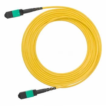 Carrier Grade MPO 10 Gigabit Single Mode Optical Modules 8/12 Core Fiber Jumpers for 40G/100G Bundled Fiber Dedicated for Data