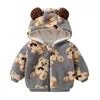 Orso - grigio