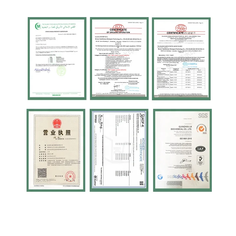 China Mainland Yogurt Starter Culture Powder for  Cheese