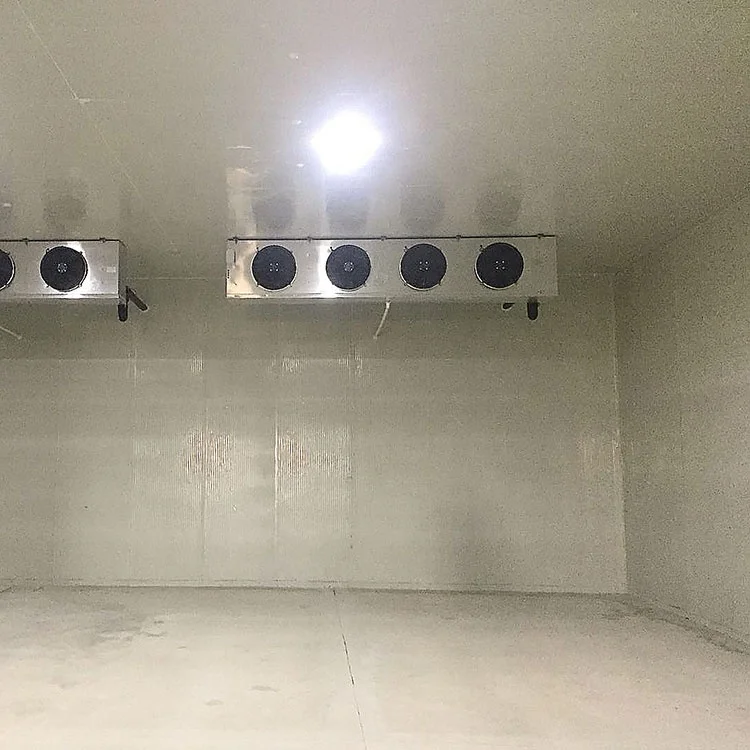 Refrigerator Project for Keeping Fruits and Vegetables Fresh Fruit Cold Storage Room Fruit and Vegetable Cold Room