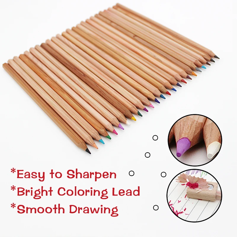 NoTrash2003 Lápices De Colores De Madera Sostenibles – Set De 12 Unidades En Estuche De Cartón, Certificados EN71, Ideales Para Fiestas Y Colegios
