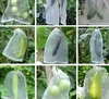 สีขาว