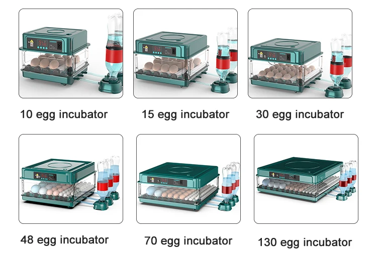 98 Hatching Rate 48 Capacity Chicken Egg Incubators Hatching Eggs