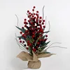 arbre rouge-gaïac