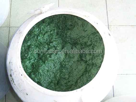 fresh spirulina.jpg