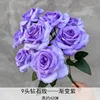 9 head diamond rose gradient purple