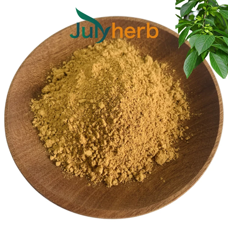 Eucommia ulmoides extract powder