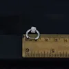 E010-Silver 1 (One there are ear holes an earring)