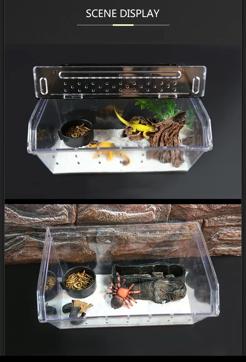 Portable Transparent Snake Breeding Box Faunarium Critter Keeper For ...