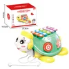 Green ( HY-074651 )- Color Box