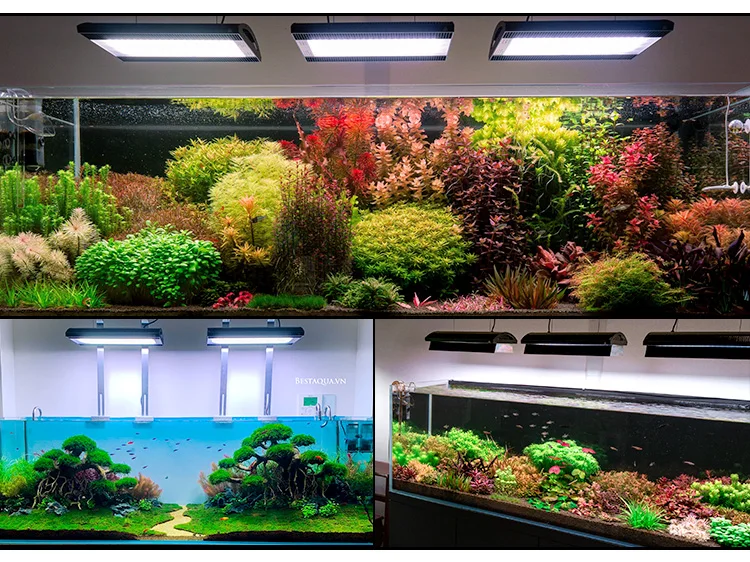 WEEK AQUA A430 Pro Trade Assurance 120w RGB UV ledアクアリウムライトforaquascapeアクアリウムランプnicrew|  Alibaba.com